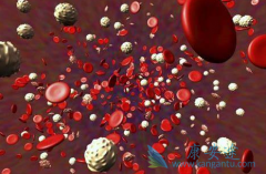 ϸ�����ӷ籩��ʲô��ϸ�������Ʒ���ʲô���ã�