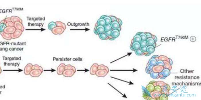 ����ϸ������