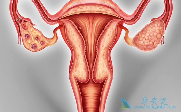 �ѳ�������