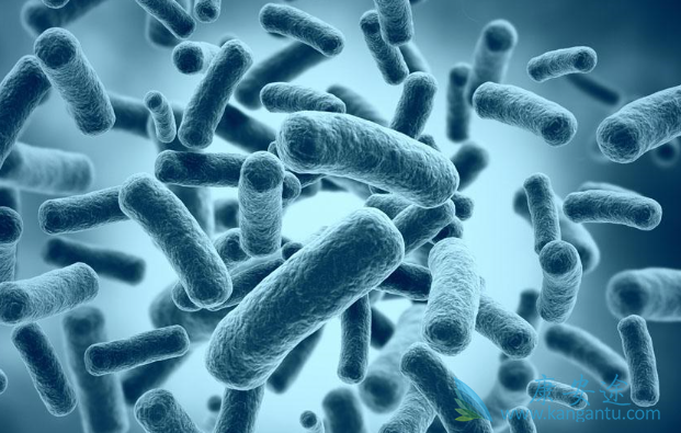 ����ϸ������