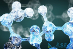 PD1ʹ�ù�������ο���ϸ�����ӷ籩��