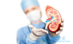 ���������ƶ�����Щ������ת�ƵĲ�����ô�죿