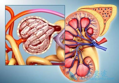 ����ת��;����ҩ