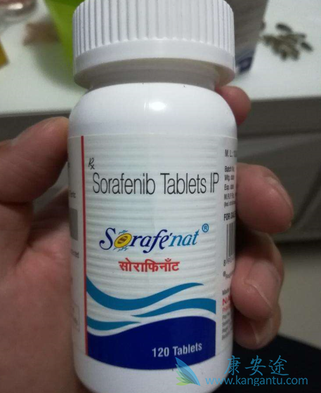 �༪���۸�