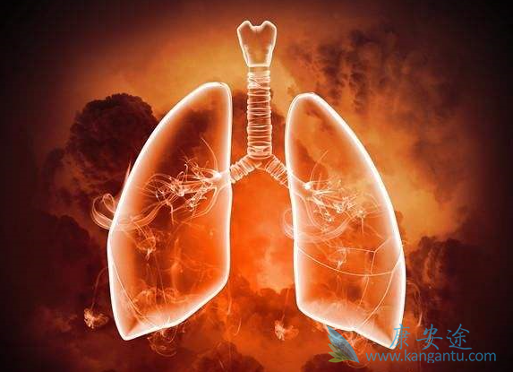 �ΰ�egfr�е�