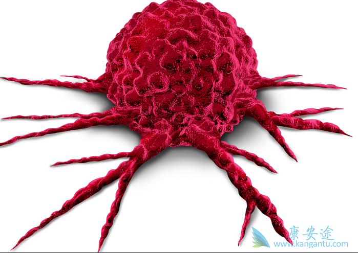 前列腺癌;黑色素瘤 前列腺癌;黑色素瘤