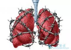 �ΰ��������µ��ֶ��𣿷ΰ�ҩ�з�����һ�׶��ˣ�