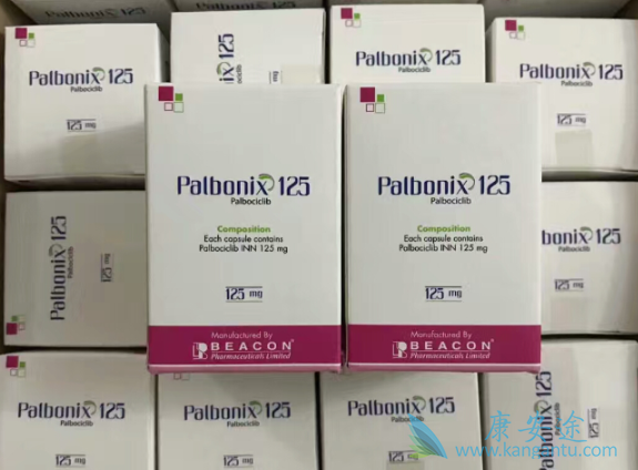 哌柏西利 哌柏西利