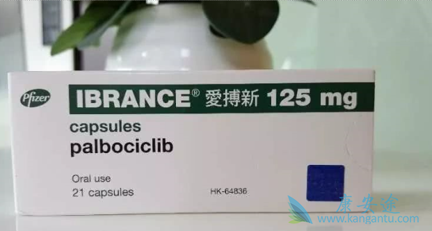 哌柏西利 哌柏西利