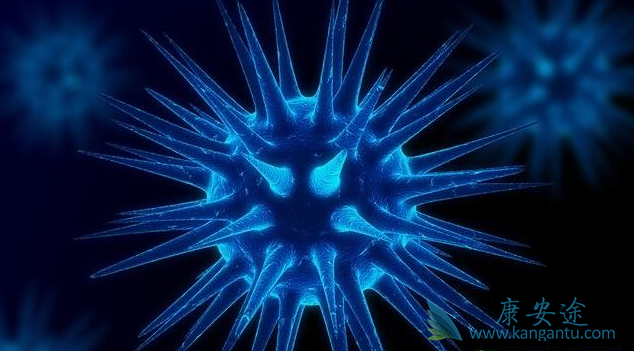 ��֢���˳�ʲô��;��֢���ߵ���ʳ