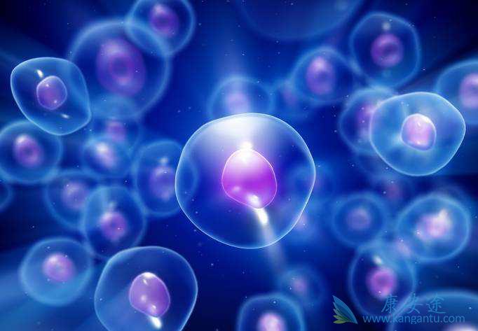 ϸ�����ӷ籩