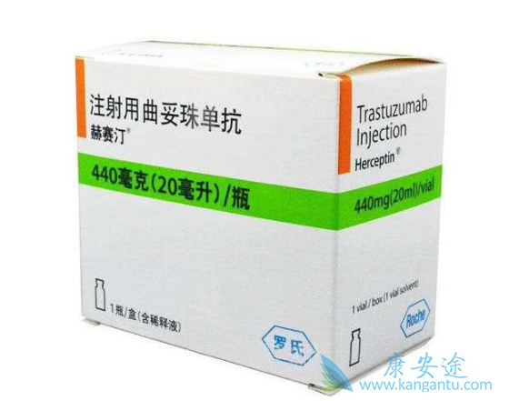 ����͡����Ч