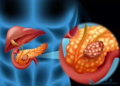 ���ٰ����������ٰ��������߿��Ի��ã�