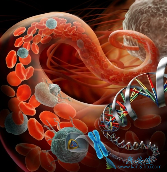 癌症转移;癌症病人吃什么好 癌症转移;癌症病人吃什么好