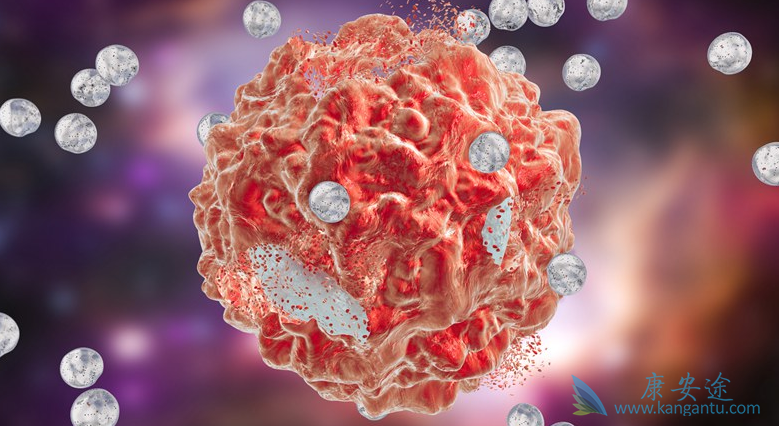 �����������κ���;��������