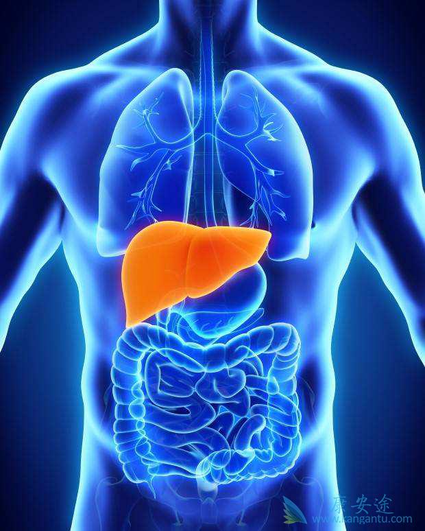 ���ε�֢״����Щ