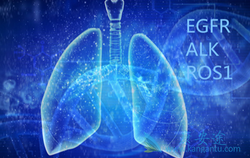 靶向治疗;肺癌egfr靶点 靶向治疗;肺癌egfr靶点