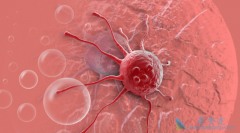 ������ҩ������Щ��ԭ��ҩ�����ҩ��һ����Ч����