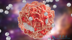 ʲô�Ƕ����������������������������ʲô����