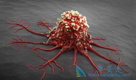 尼洛替尼;达沙替尼 尼洛替尼;达沙替尼