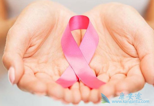 �ڷ�������