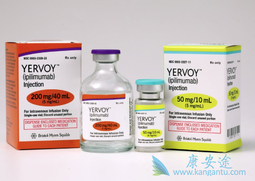 ��ƥľ����