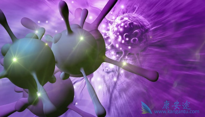 癌细胞转移;肺癌脑转移 癌细胞转移;肺癌脑转移