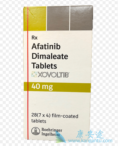 ��������;��Сϸ���ΰ�