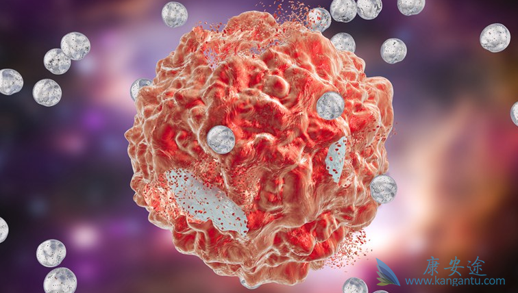 厄洛替尼;肿瘤 厄洛替尼;肿瘤