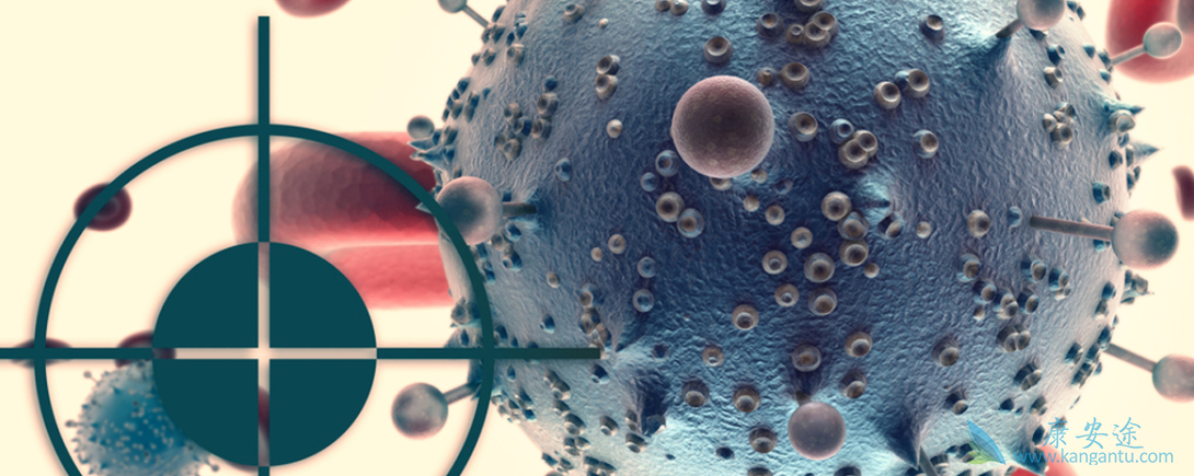 肺癌脑转移;靶向治疗 肺癌脑转移;靶向治疗