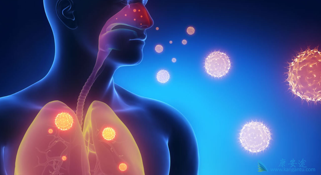 小细胞肺癌;肺癌的治疗 小细胞肺癌;肺癌的治疗