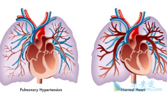 ��������Էζ�����ѹҲ�ж�������