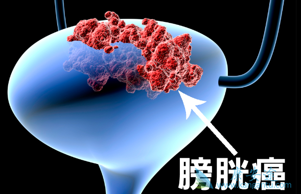 ���װ�������֢״