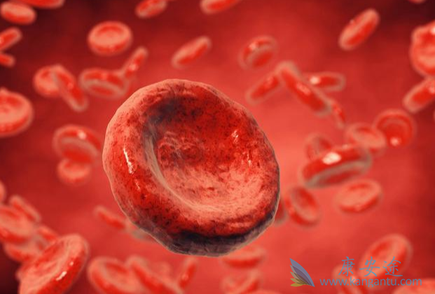 恶性肿瘤;肿瘤转移 恶性肿瘤;肿瘤转移