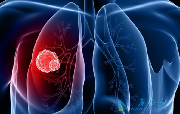 ���ڷ�Сϸ���ΰ�