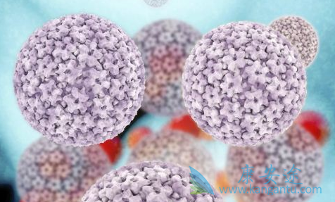 ���Ʊ���;���β���