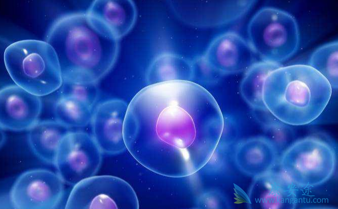 ϸ�����ӷ籩