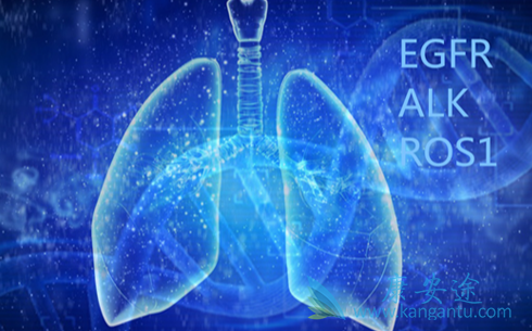 �ΰ�EGFR�е�;��������