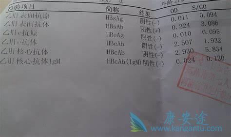 �Ҹα��濹��