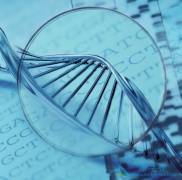 ��֢�᲻�ᴫȾ�������ڲ��ϵ��з����ư�֢ҩ��