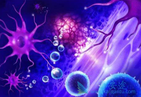 �෢�Թ�����;��������