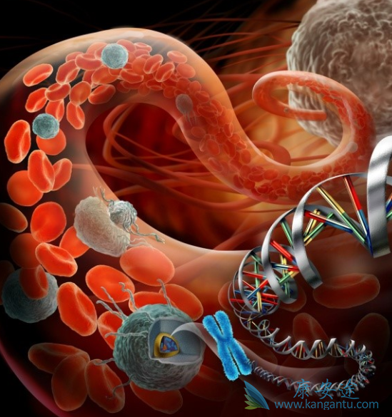 ��֢;���ٰ�