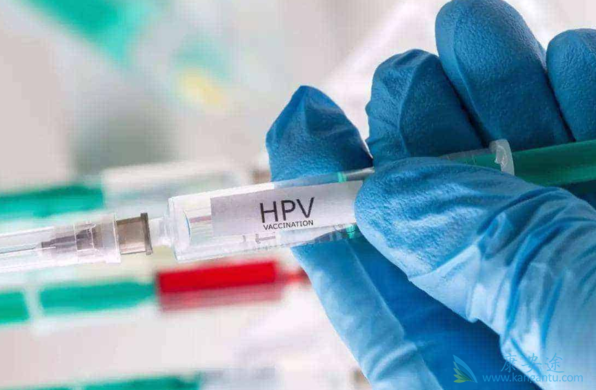 宫颈癌;黑色素瘤 宫颈癌;黑色素瘤