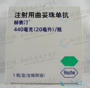 ����͡����������HER-2�����������ٰ���ҩ����