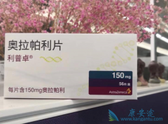 ����׿/��������ֻ������ά��������