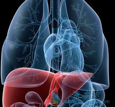 乙肝传播途径;乙肝病毒 乙肝传播途径;乙肝病毒