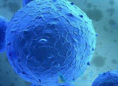 急性髓细胞白血病;白血病 急性髓细胞白血病;白血病