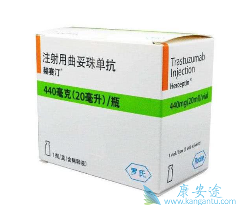 赫赛汀的疗效 赫赛汀的疗效