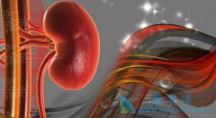 ����ҩ�￨���о���T2D��DKD�������ӻ�������չ��������ѡ��