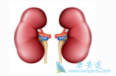 ����ת��;����